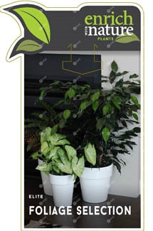 Elite Foliage Label Image etag.jpg